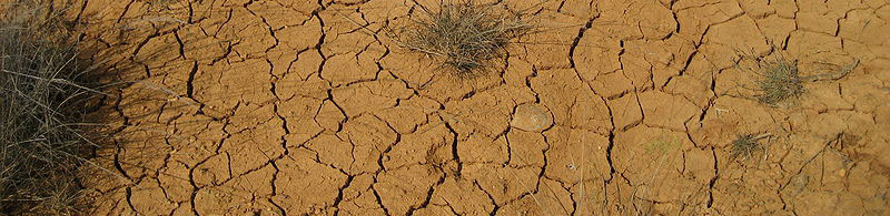 crop-drought_Wikimedia_Commons_dl91m-on-es.WP.jpg