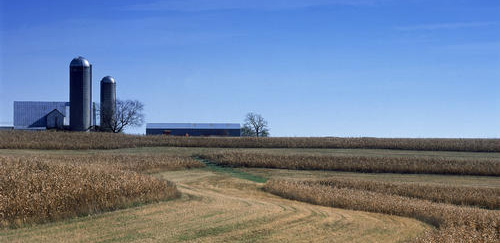 NREL_photo_eXchange_biofuel_nrel_10504(Bob_Allen)