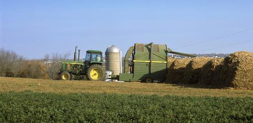 NREL_photo_eXchange_biofuel_nrel_10581(Bob_Allen)