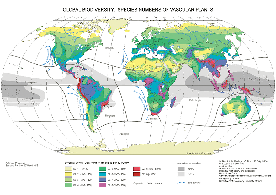 Map of vascular plant diversity