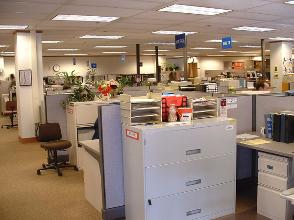 Open office environment with acoustical partitions, acoustical ceiling, and glue-down carpet