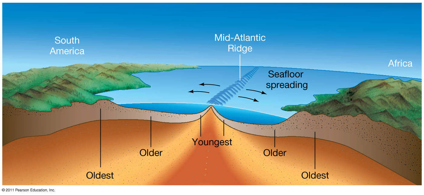 sea floor spreading worksheet