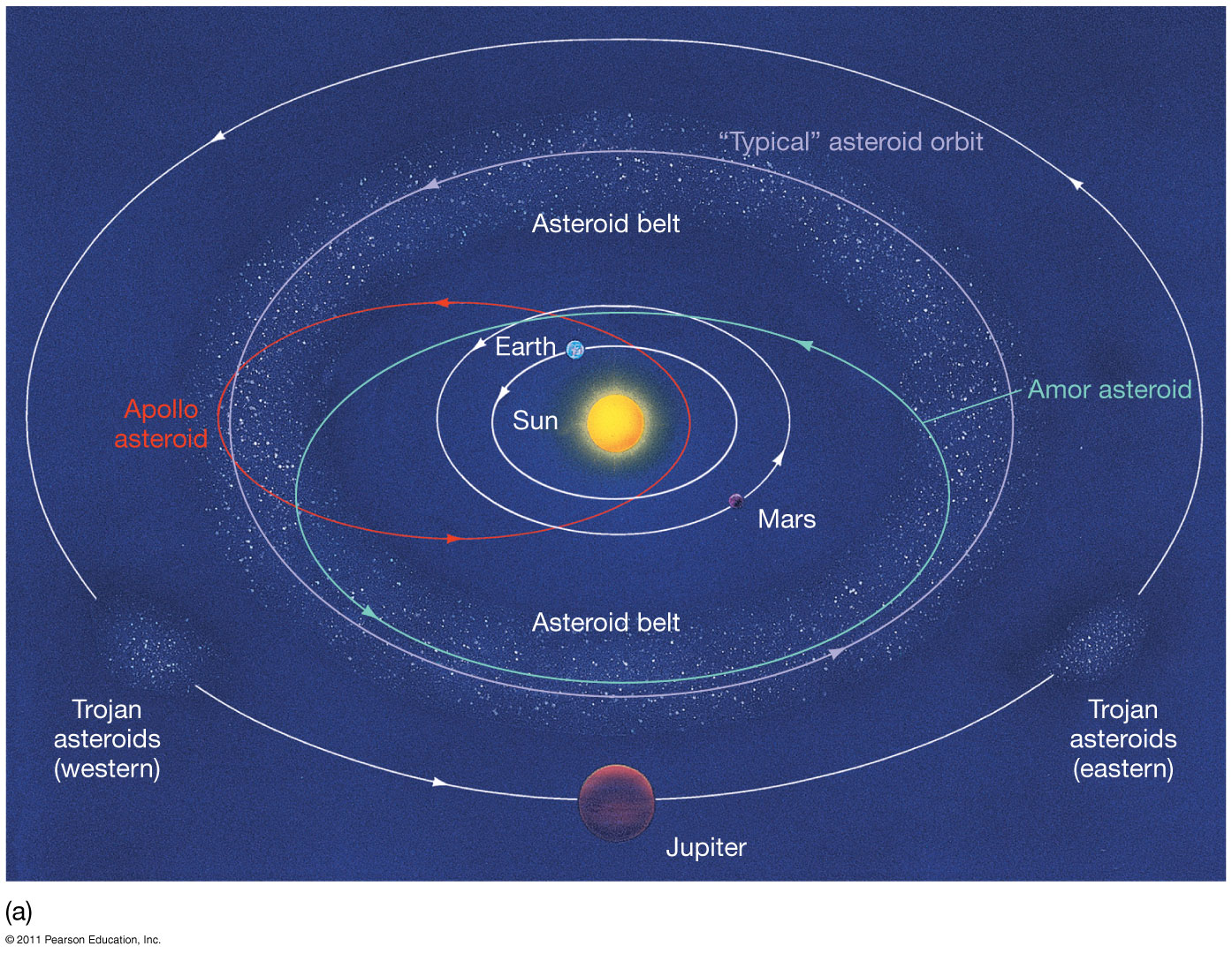 kuiper belt and asteroid belt