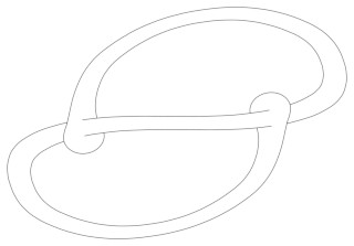 Line drawing of a ribbon disk