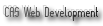 CAS Web Development