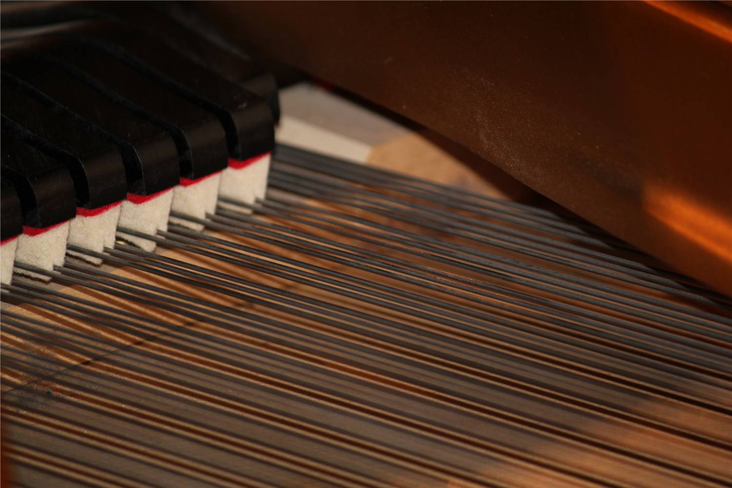 The dampers and higher strings of one of the studio's pianos.
