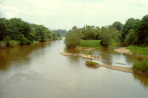 The Pattani River