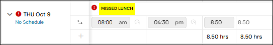 Picture of time entry with missing lunch