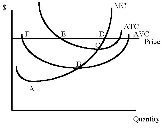 Multiple Choice Questions