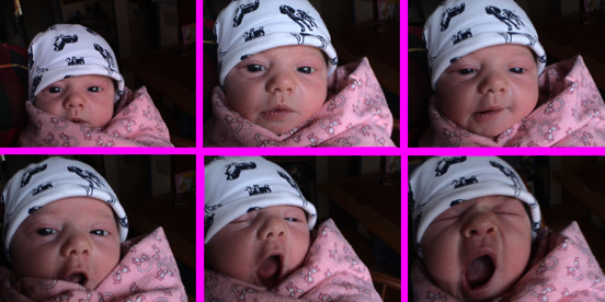 The many faces of 
Josey!