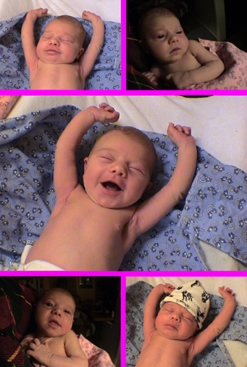 She loves to stretch! 