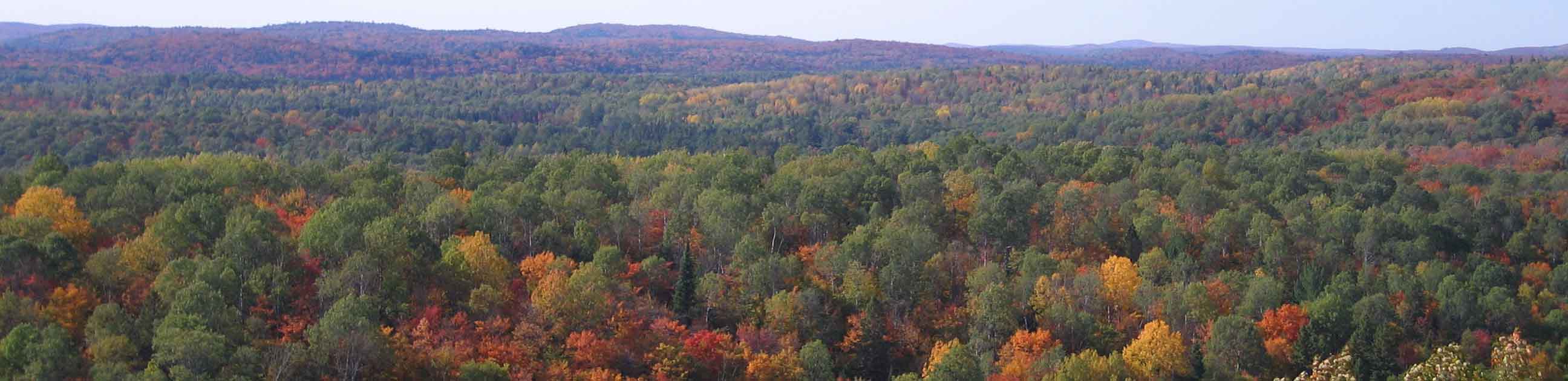 Algonquin_Park-Shan_Chen