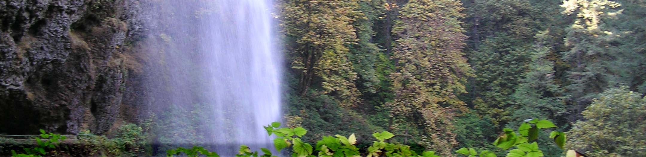 Silver_Falls_Park_OR-Trudy_Cameron