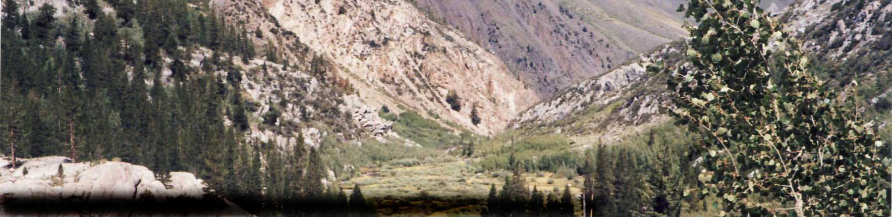 Sierra Nevada CA-Trudy Cameron