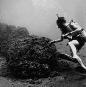 File written by Adobe Photoshop¨ 4.0