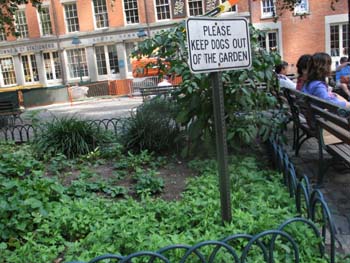 NYC Sept 4 2006 LC 009