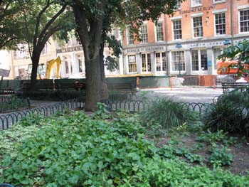 NYC Sept 4 2006 LC 010