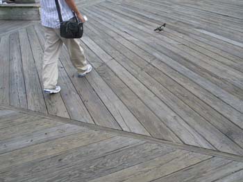 NYC Sept 4 2006 LC 034