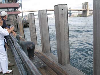 NYC Sept 4 2006 LC 036