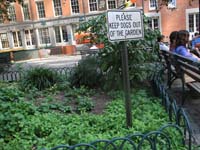 NYC Sept 4 2006 LC 009