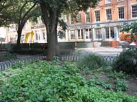 NYC Sept 4 2006 LC 010