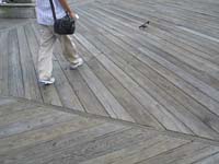 NYC Sept 4 2006 LC 034