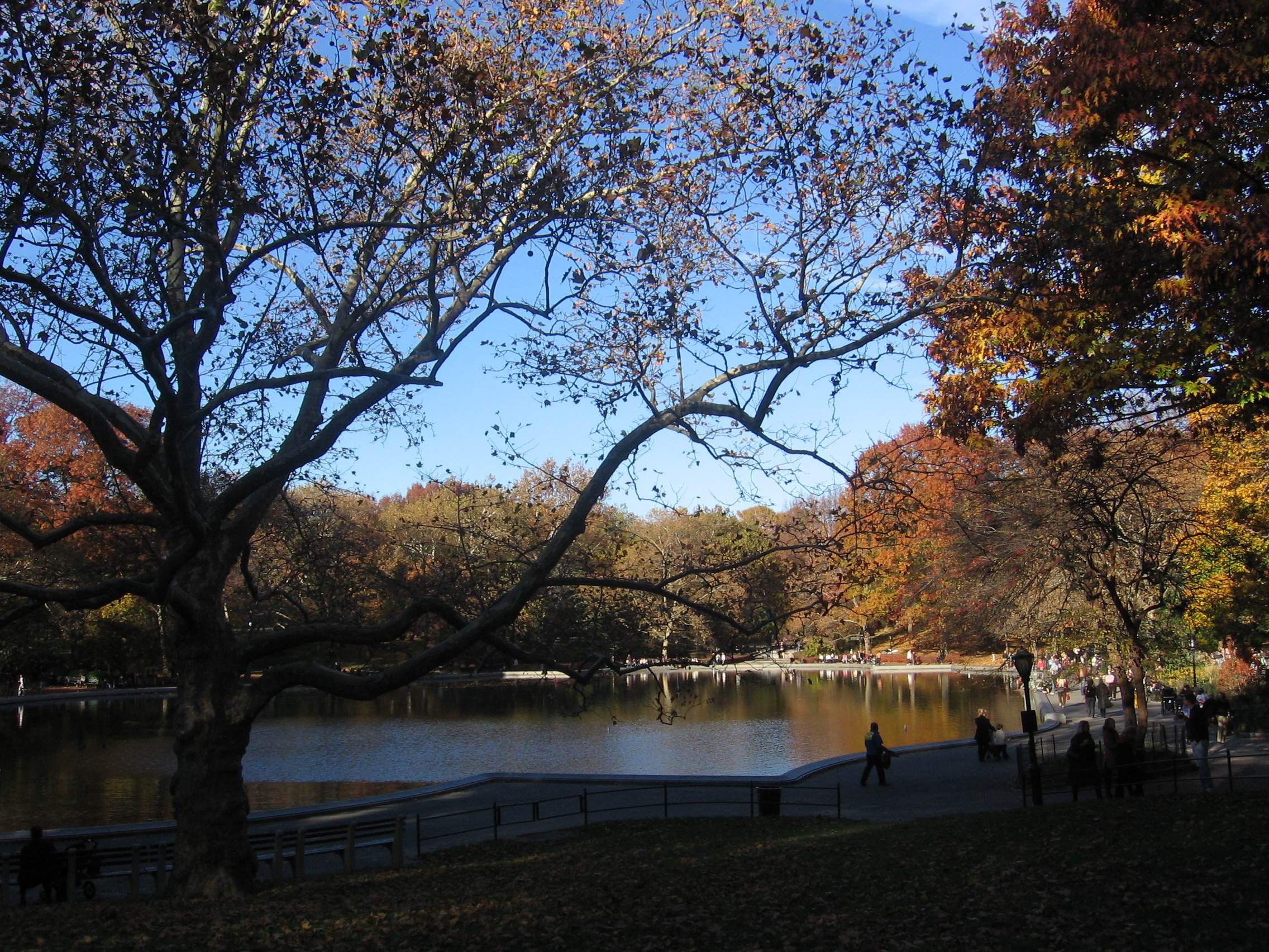 CentralPark