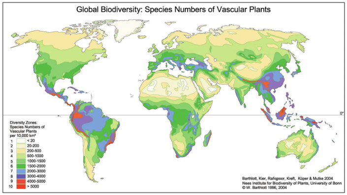 Map of vascular plant diversity