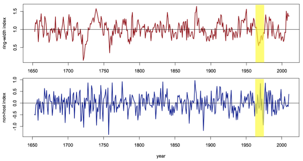 wsb chronologies