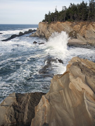 A view from Highway 101 of Cape Arago