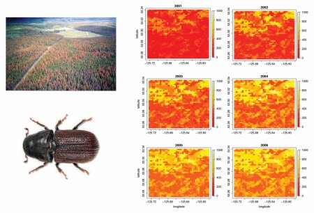 Graphic shows spread of pine beetle infestation from 2001 to 2006