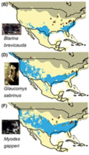 Maps show predicted locations vs. fossil record of shrew and flying squirrels