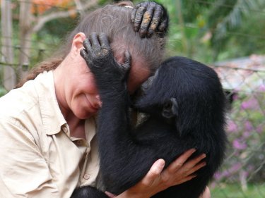 White with a playful bonobo