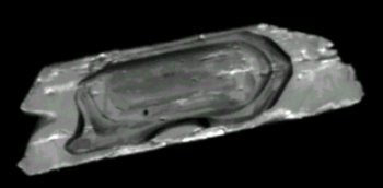 Amplified zircons, showing some internal zoning and structure