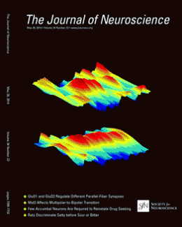 Journal cover shows image depicting the study