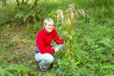 Aud H. Halbritter with false brome in Switzerland