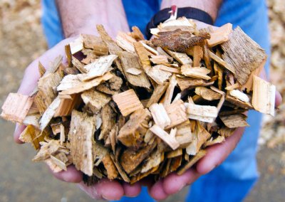 Biomass wood chips held in two hands (Marcus Kauffman photo)