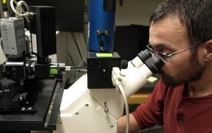 image showing researcher on microscope