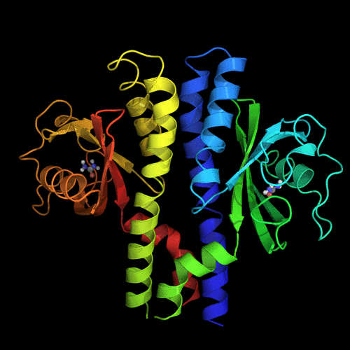 Moving looks at the TlpB protein receptor