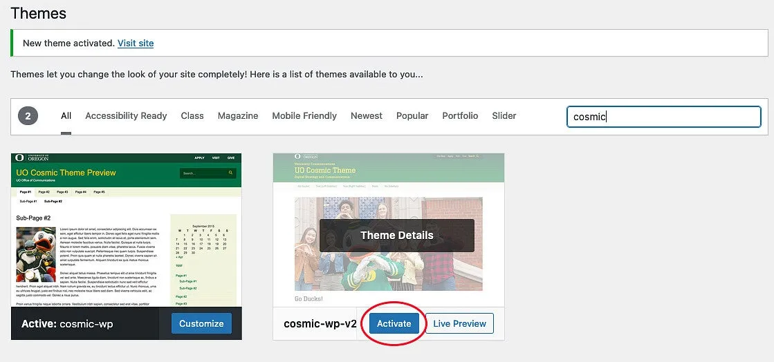 Switching to Cosmic V2 screenshot