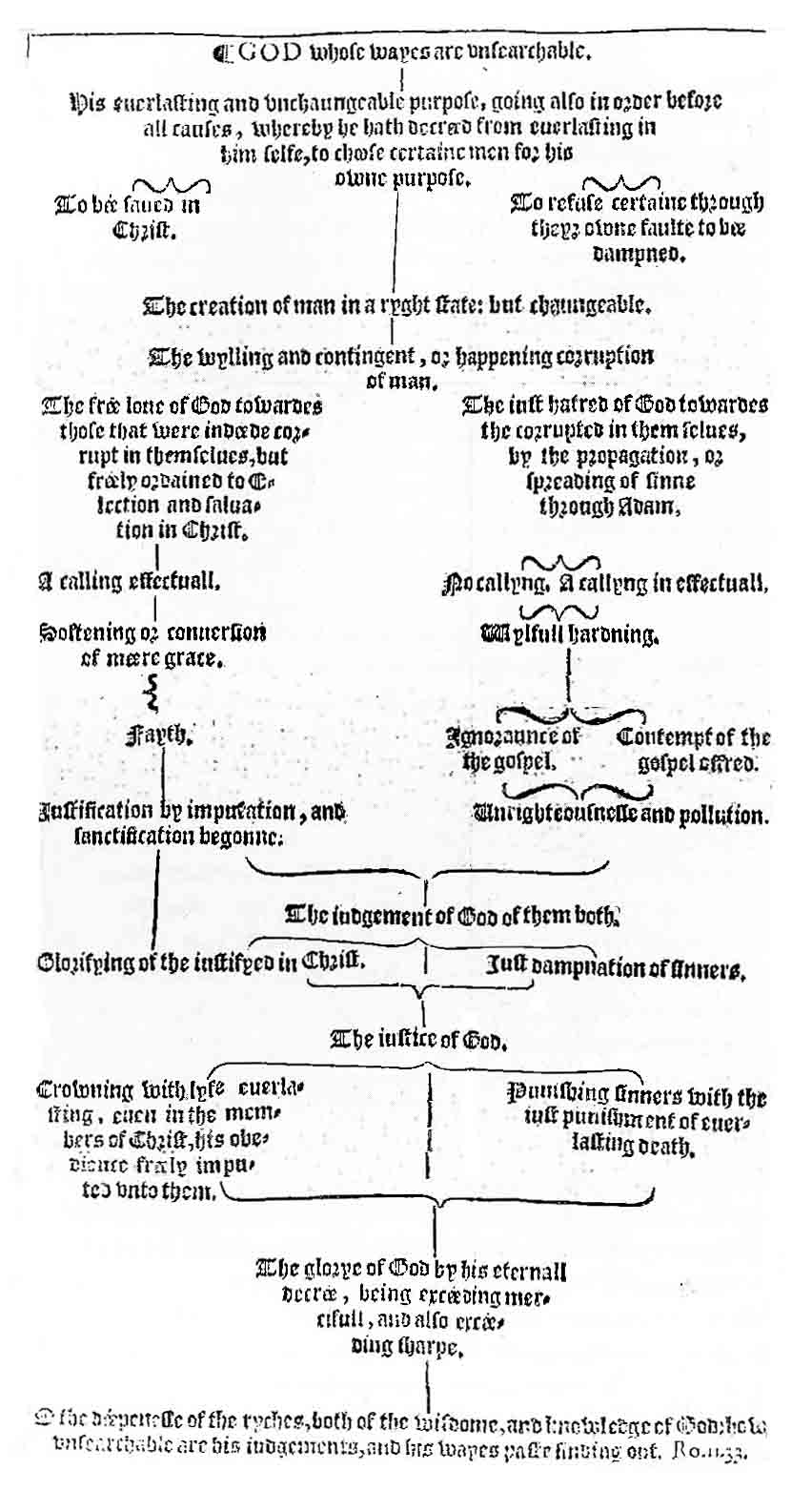 predestination calvinism