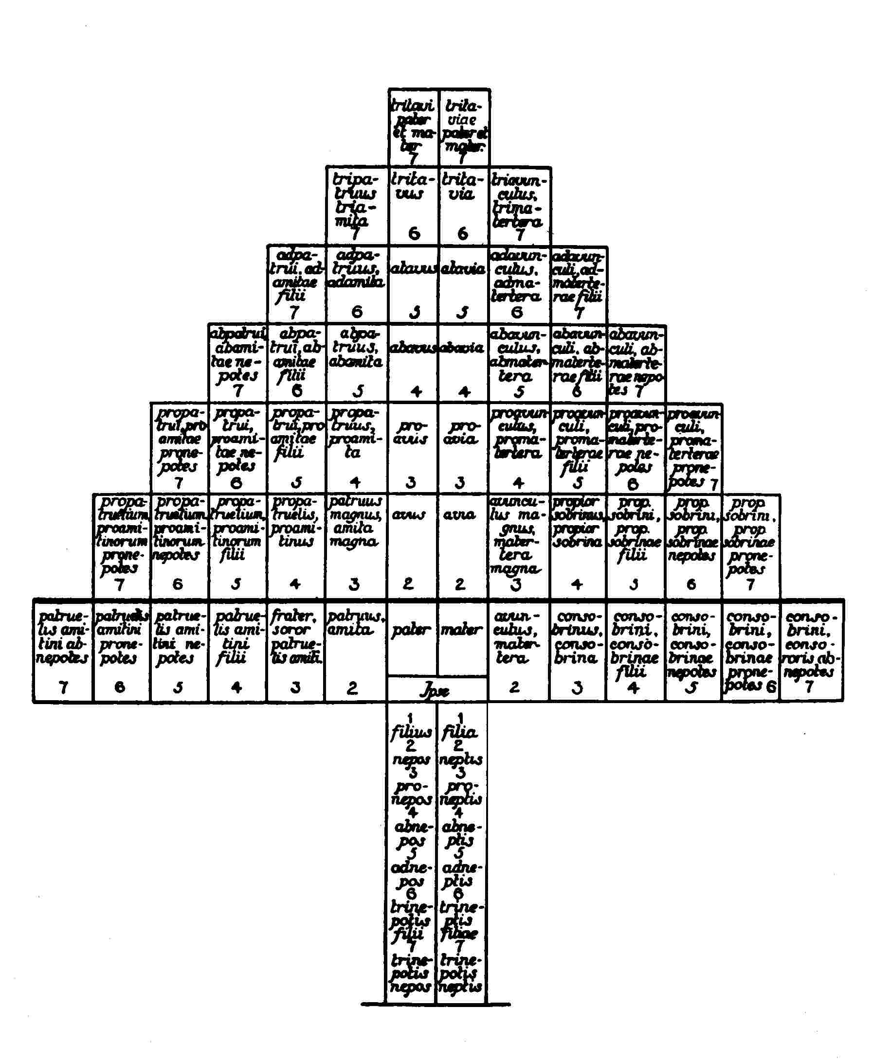 Chart Of Consanguinity And Affinity