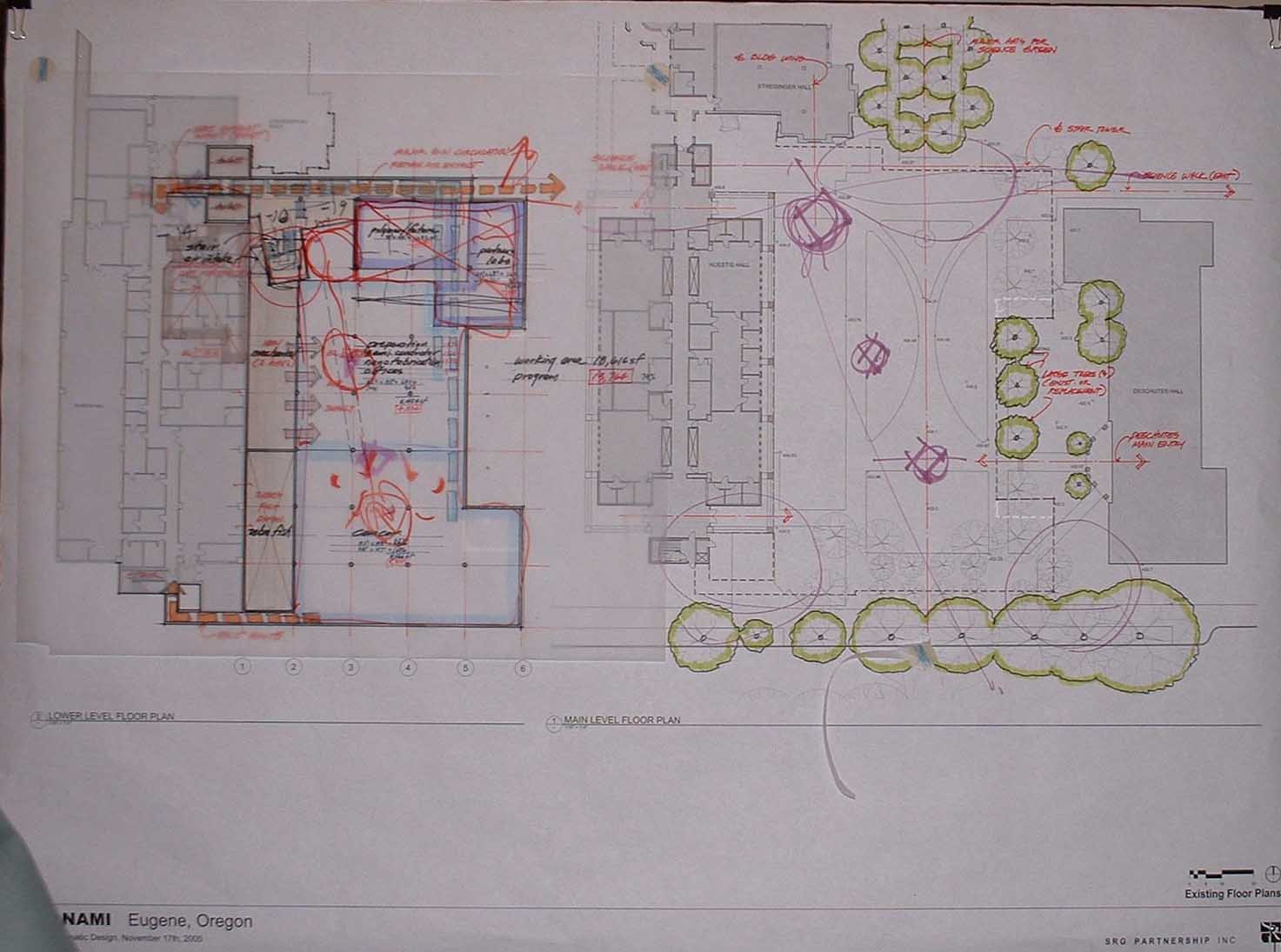 enlarged basement and site plan, ONAMI project, Nov 05