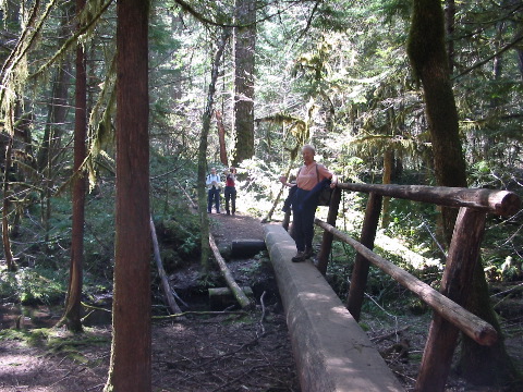 crossing dry Starr Creek