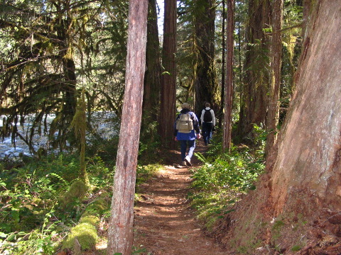Pictures along the trail: