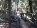 crossing dry Starr Creek