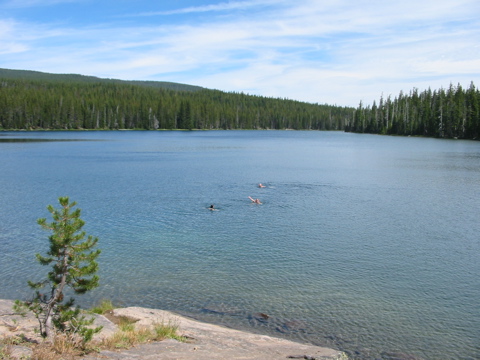 ...then a swim