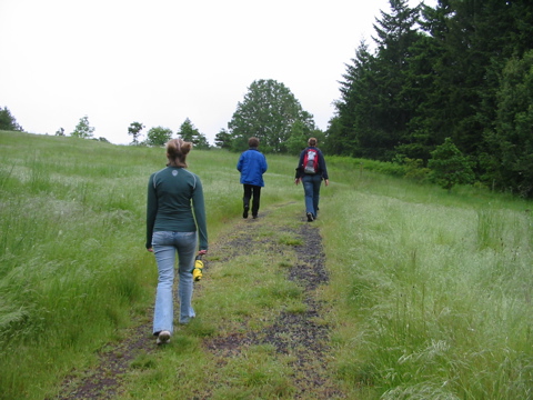 Auf dem South Boundary Trail im Buford Park
