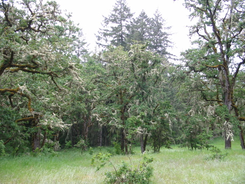 wo M&auml;rchen entstehen...