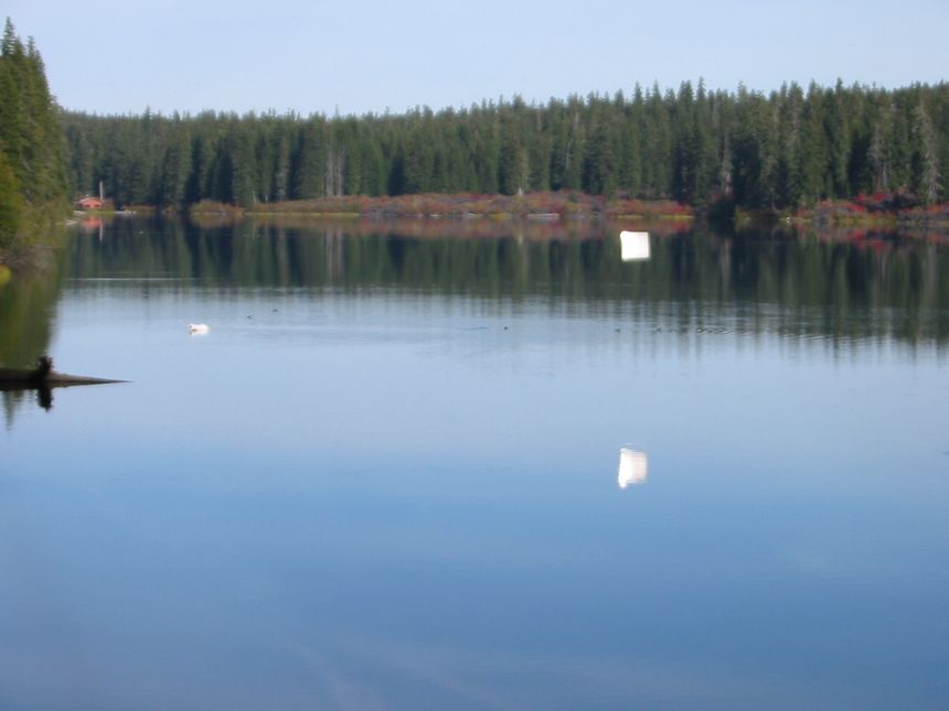 jetzt auf der anderen Seite weiter